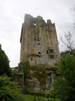 Blarney Castle. Click to view larger photo